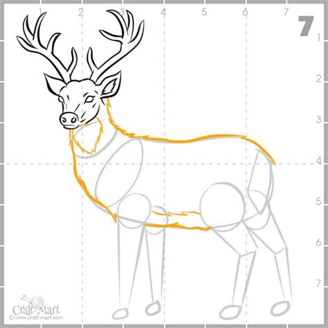 Drawing A Deer In 10 Steps Easy Tutorial Craft Mart