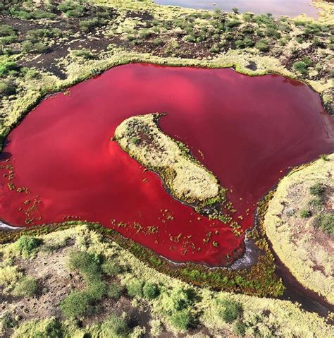 Blood Red Alkaline Lake In Kapedo In Turkana County Schoolforafrica