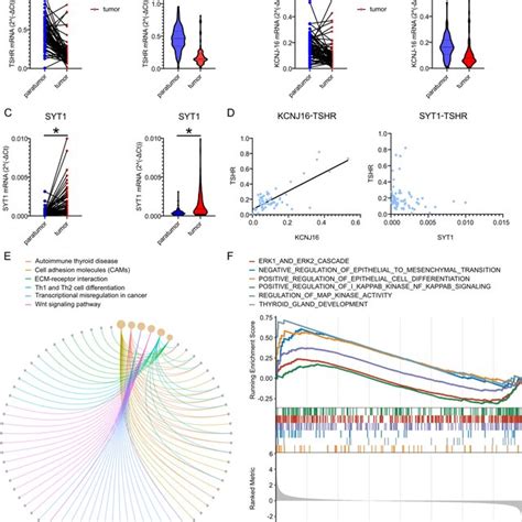 Target Genes Expression In Clinical Samples And Degs Enriched Download Scientific Diagram