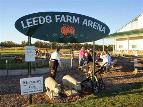 Pig Races Leeds Farm Arena Ohio