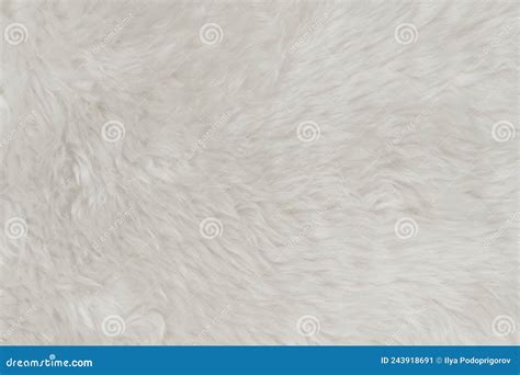 White Fluffy Wool Texture Background Natural Fur Texture Stock Image