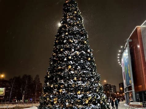 Новогодняя елка у ТЦ Горки Парк - район Советский, фото, адрес на карте ...