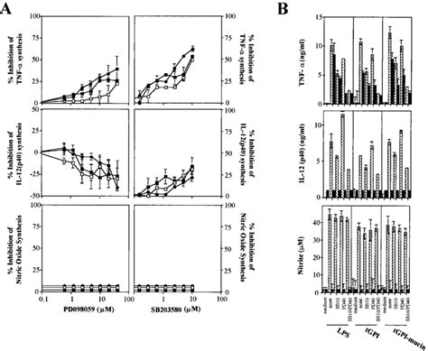 Effects Of PD 98059 And SB 203580 On LPS TGPI Mucin Or TGPI Induced