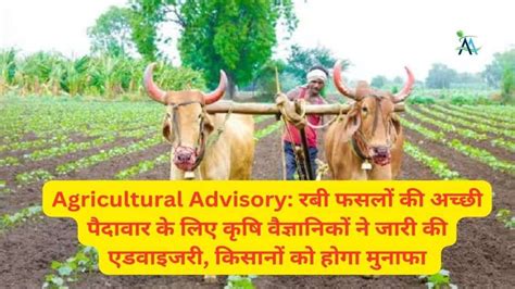 Agricultural Advisory रबी फसलों की अच्छी पैदावार के लिए कृषि