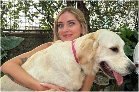 Critiche A Chiara Ferragni Il Tuo Cane Paloma Triste Arriva La