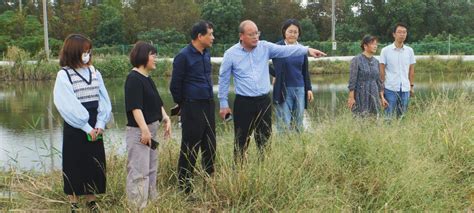 我院亚夫科技服务团队在吴江组织召开“稻田综合种养技术”培训会 苏州市农业科学院官方网站