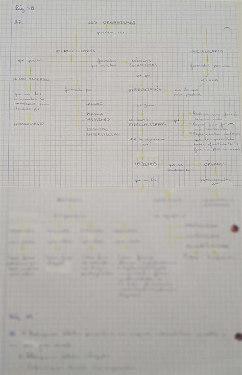 SOLUTION Deberes De Biolog A 3 Studypool