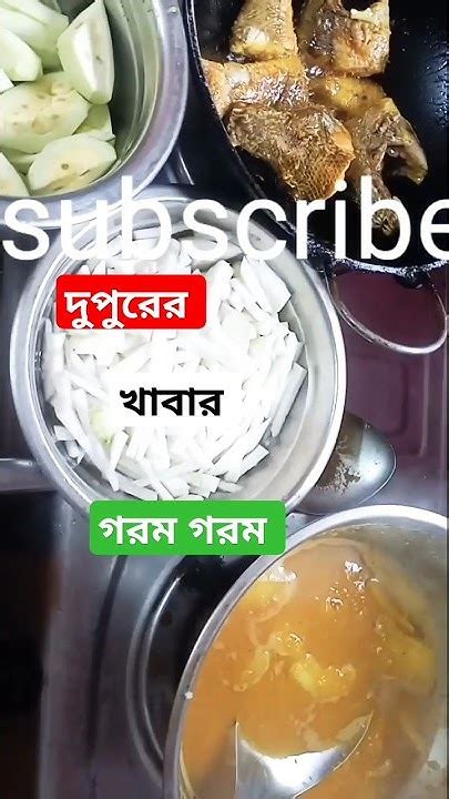 আজকের দুপুরের মেনুতে গরম ভাত আম ডাল আলু ভাজা ভোলা মাছের ঝাল আর রুই