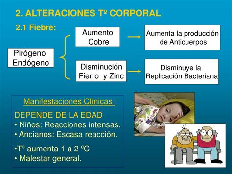 Ppt Alteraciones De La Temperatura Corporal Powerpoint Presentation