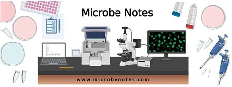 All Things Microbial Beautiful New Images Of Ebola Virus And Other