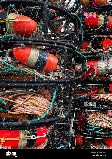 Lobster And Crab Traps With Buoys Stock Photo Alamy