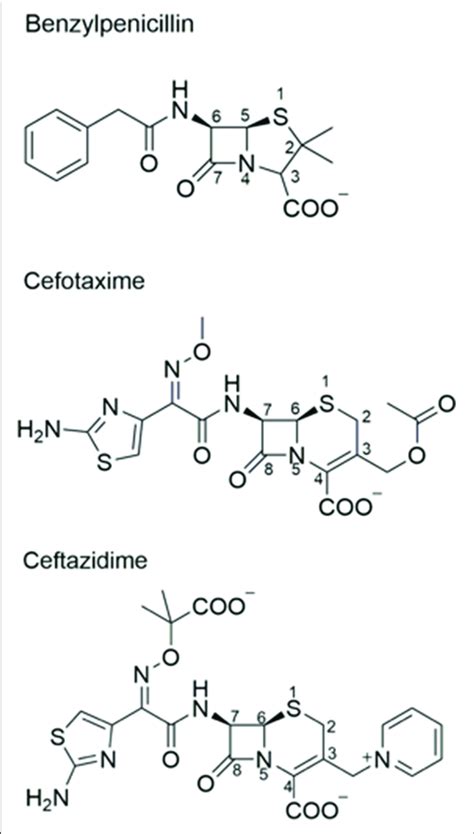 Chemical structures of β lactam antibiotics Benzylpenicillin and the