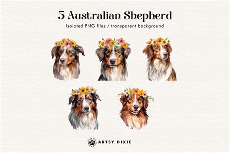 Australian Shepherd With Flower Crown - Design Cuts