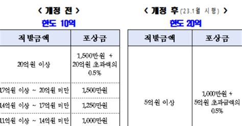 보험사기 제보 시 포상금 한도 20억원으로 확대