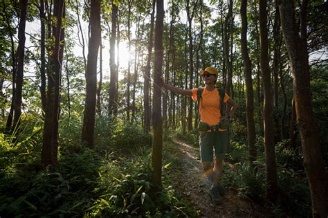 Pelari Jejak Wanita Muda Beristirahat Sambil Berlari Di Hutan Tropis