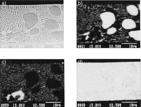 PDF Solidification Structure Of The Coating Layer On Hot Dip Zn 11 Al