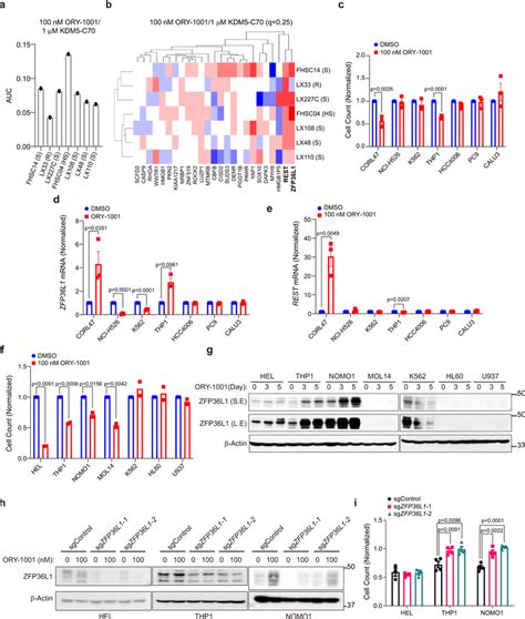 ZFP36L1 Induction After LSD1 Inhibitor Treatment Correlates With LSD1