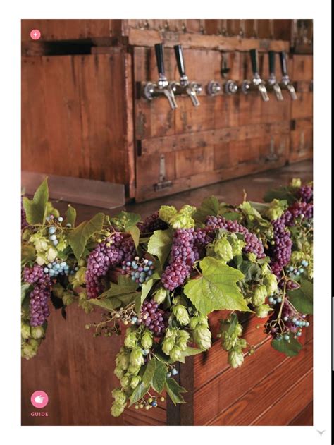 85 best images about Grape Decor on Pinterest | Vineyard, Napkin ...