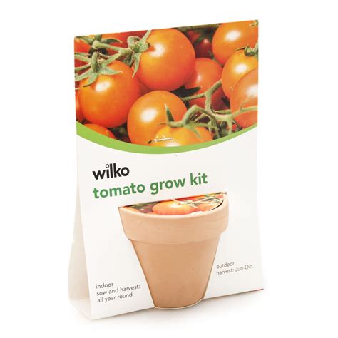 Wilko Terracotta Mini Grow Pot Assorted Wilko