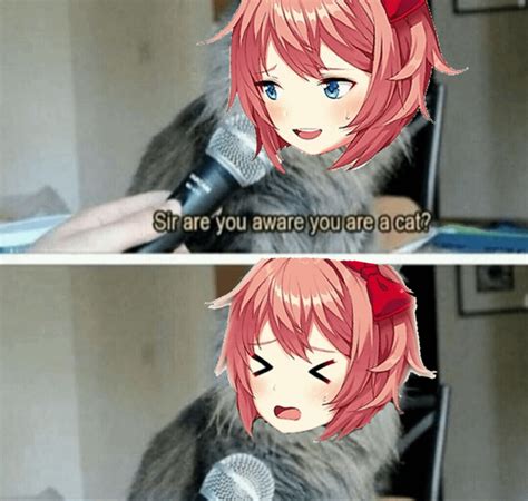 Sayori Memes Are Pretty Good Rddlc