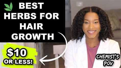 Best Affordable Herbs For Hair Growth That Actually Work In 2020