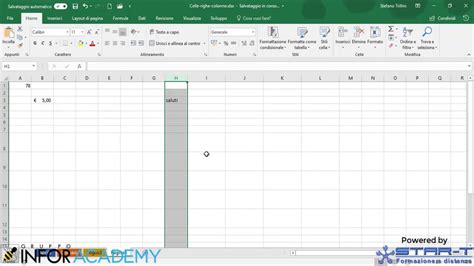 Come Usare Celle Righe E Colonne In Excel Corso Online YouTube