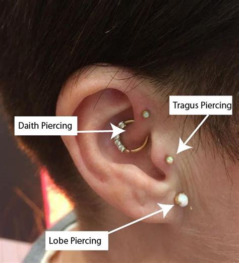 What Is The Difference Between A Tragus And A Daith Piercing Explained All The Differences