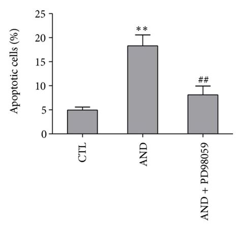 The expression of MAPK and the effect of MAPK inhibitors on AND-induced ...