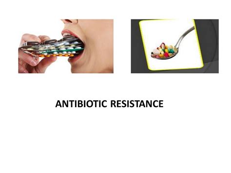 Solution Antibiotic Resistance Antimicrobial Resistance Studypool