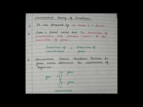 Chromosomal Theory Of Inheritance Biology Notes Class 12 Ch 5