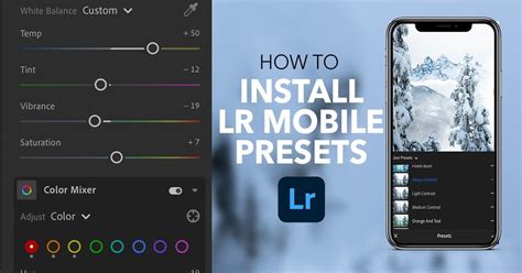 How To Add Presets Into Lightroom App Ina Grace