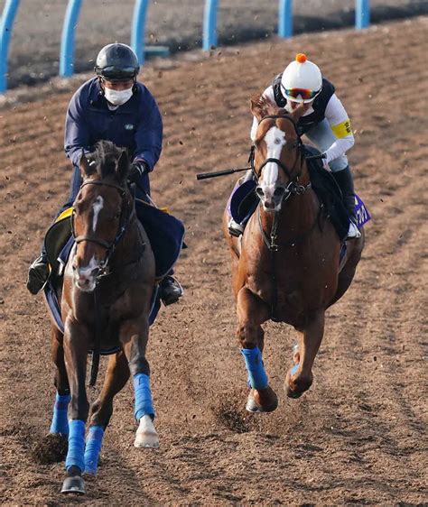 【安田記念】ナランフレグ 今こそ成長証明 初の芝マイルも丸田「こなしてくれる」 スポニチ競馬web