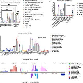 Cd Differential Gene Expression Patterns In Normal Hematopoiesis