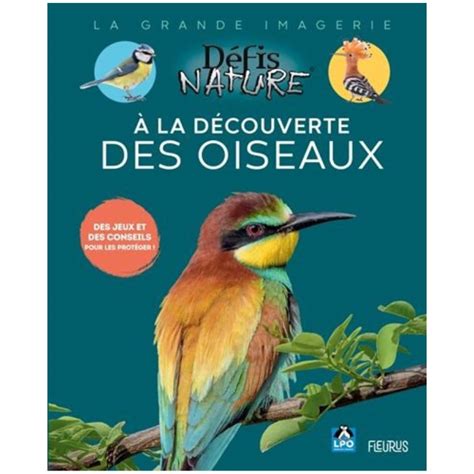 À la découverte des oiseaux La grande imagerie