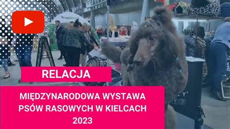 Relacja Z Drugiego Dnia Xviii Mi Dzynarodowej Wystawy Ps W Rasowych W