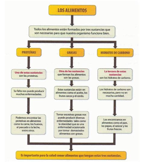 Mapa Textual Del Texto Explicativo Los Alimentos Download Scientific