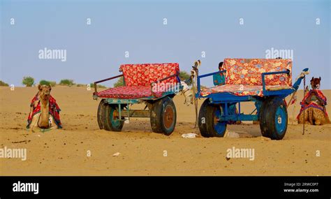 Camel carts for desert safari Stock Photo - Alamy