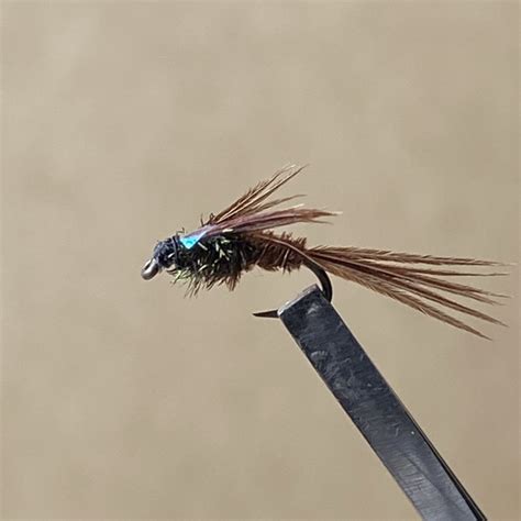 Flashback Pheasant Tail Fly Fishing Store