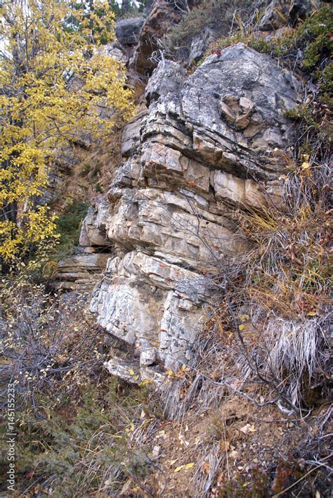 Detail and texture of metamorphic rocks Stock Photo | Adobe Stock