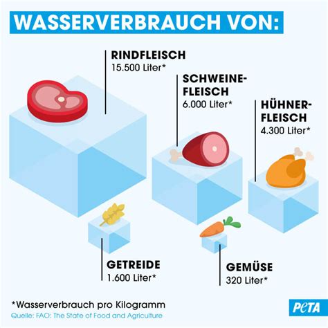 Wasserverbrauch für Fleisch Wie hoch ist er wirklich