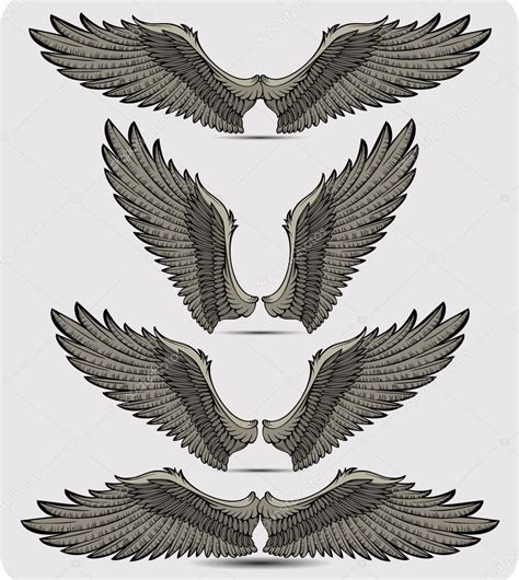 Wings Set Vector Illustration Stock Vector Mur34 11531868