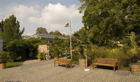 Botanischer Garten Feiert Geburtstag Antenne Sachsen