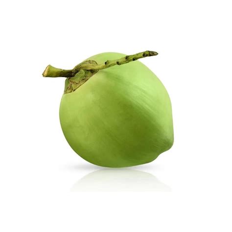 A Grade Solid Organic Green Tender Coconut Coconut Size Medium At Rs