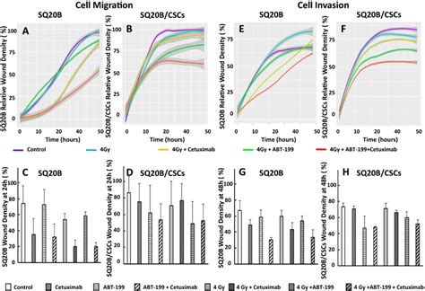 Cell Migration And Invasion Of Sq B Cells And Sq B Cscs Under