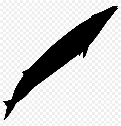 Blue Whale Shape - Vector Blue Whale Silhouette, HD Png Download ...