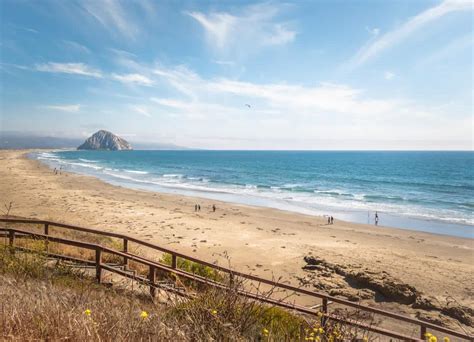 Morro Bay Whale Watching Highway 1 Road Trip