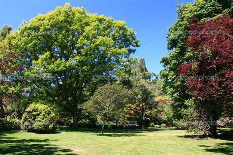 Beacon Hill Park Victoria Bc Canada — Stock Photo © Imagex 14392089