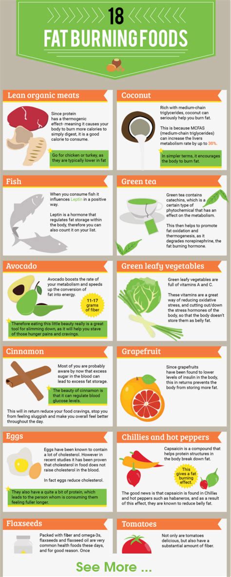 Weight Loss Infographics 18 Fat Burning Foods