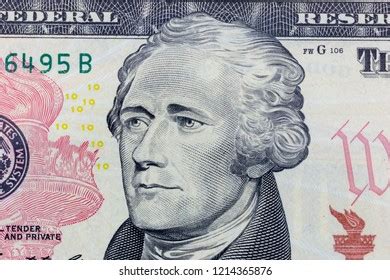 Alexander Hamilton Portrait Ten Dollar Bill Stock Photo 225407998 ...