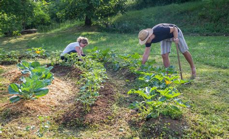 La Permaculture Cest Quoi